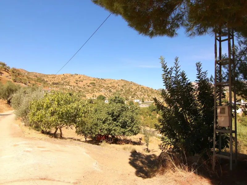 Estate for Sale in Tolox