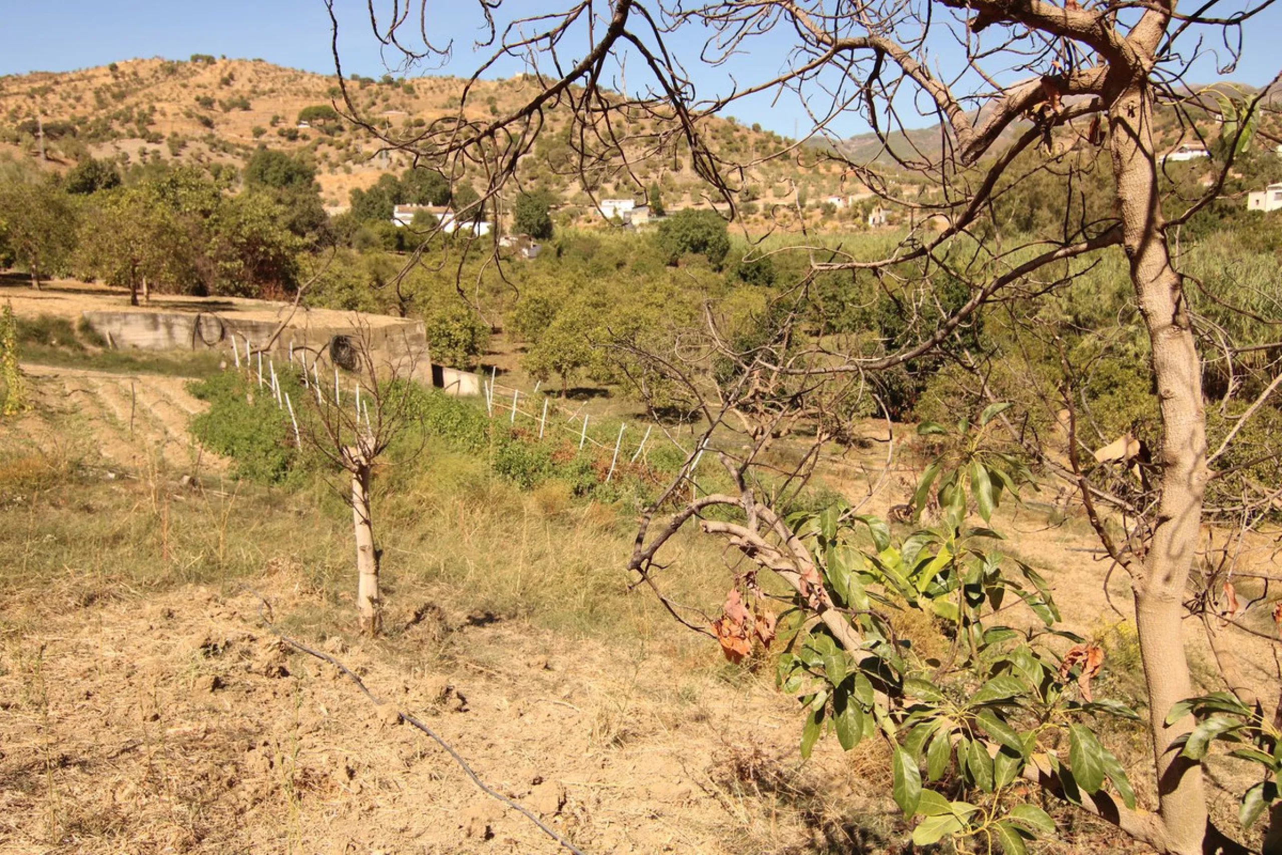 Estate for Sale in Tolox