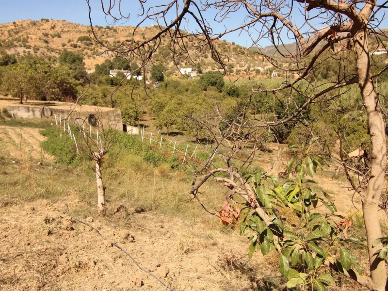 Estate for Sale in Tolox