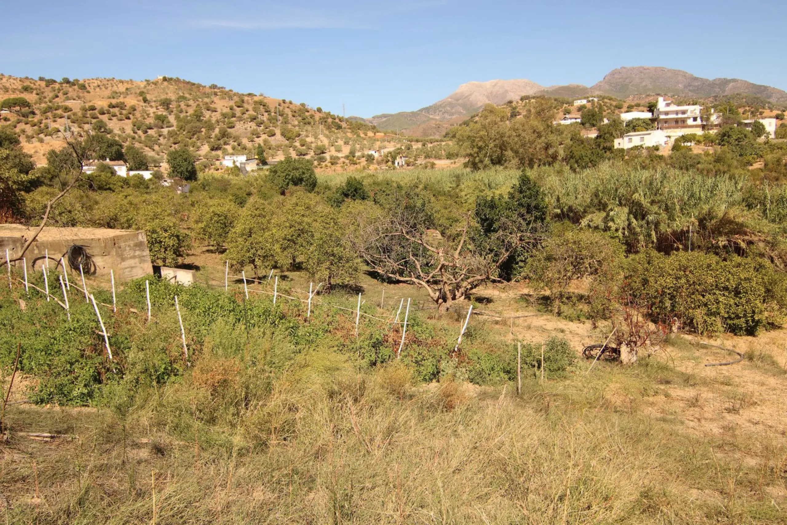 Estate for Sale in Tolox