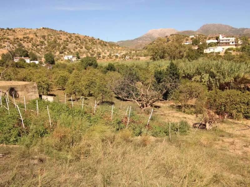Estate for Sale in Tolox