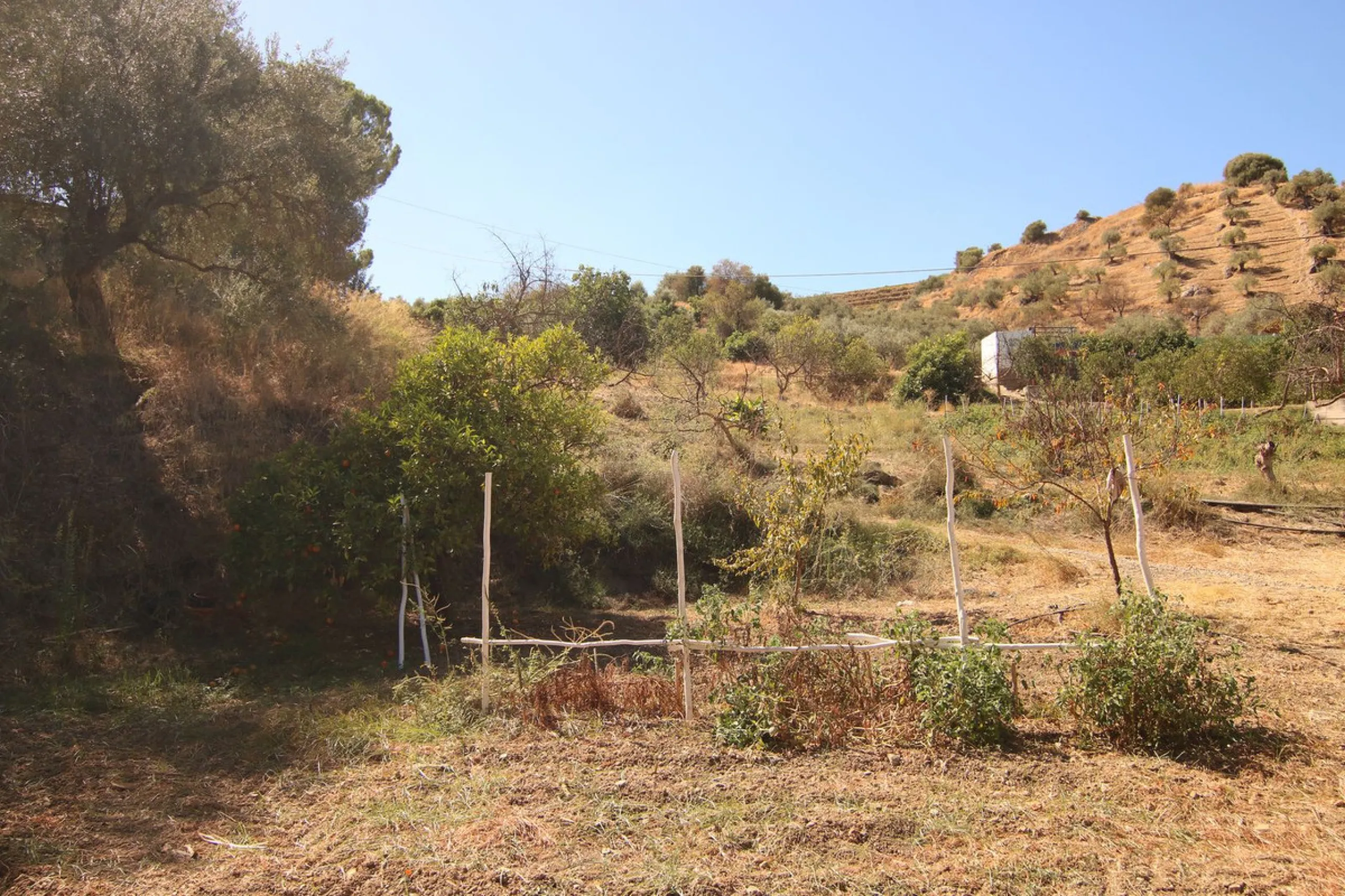 Estate for Sale in Tolox
