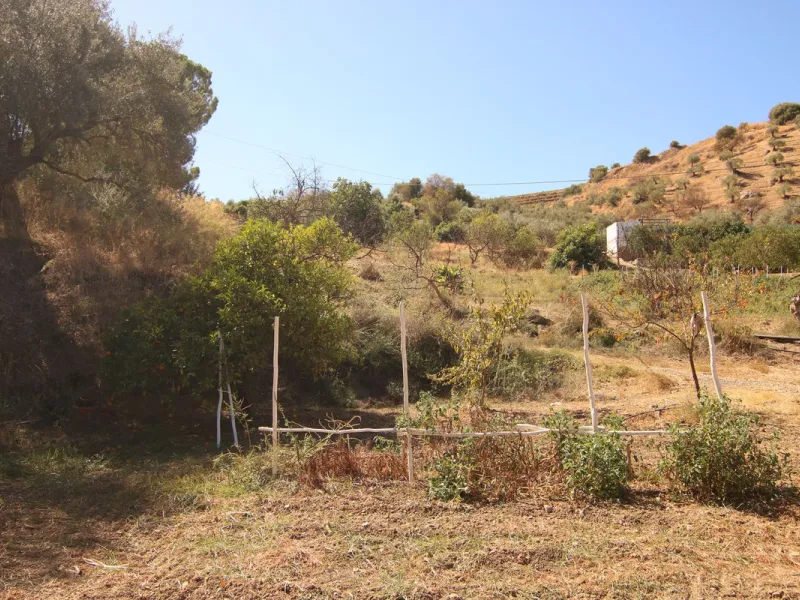 Estate for Sale in Tolox