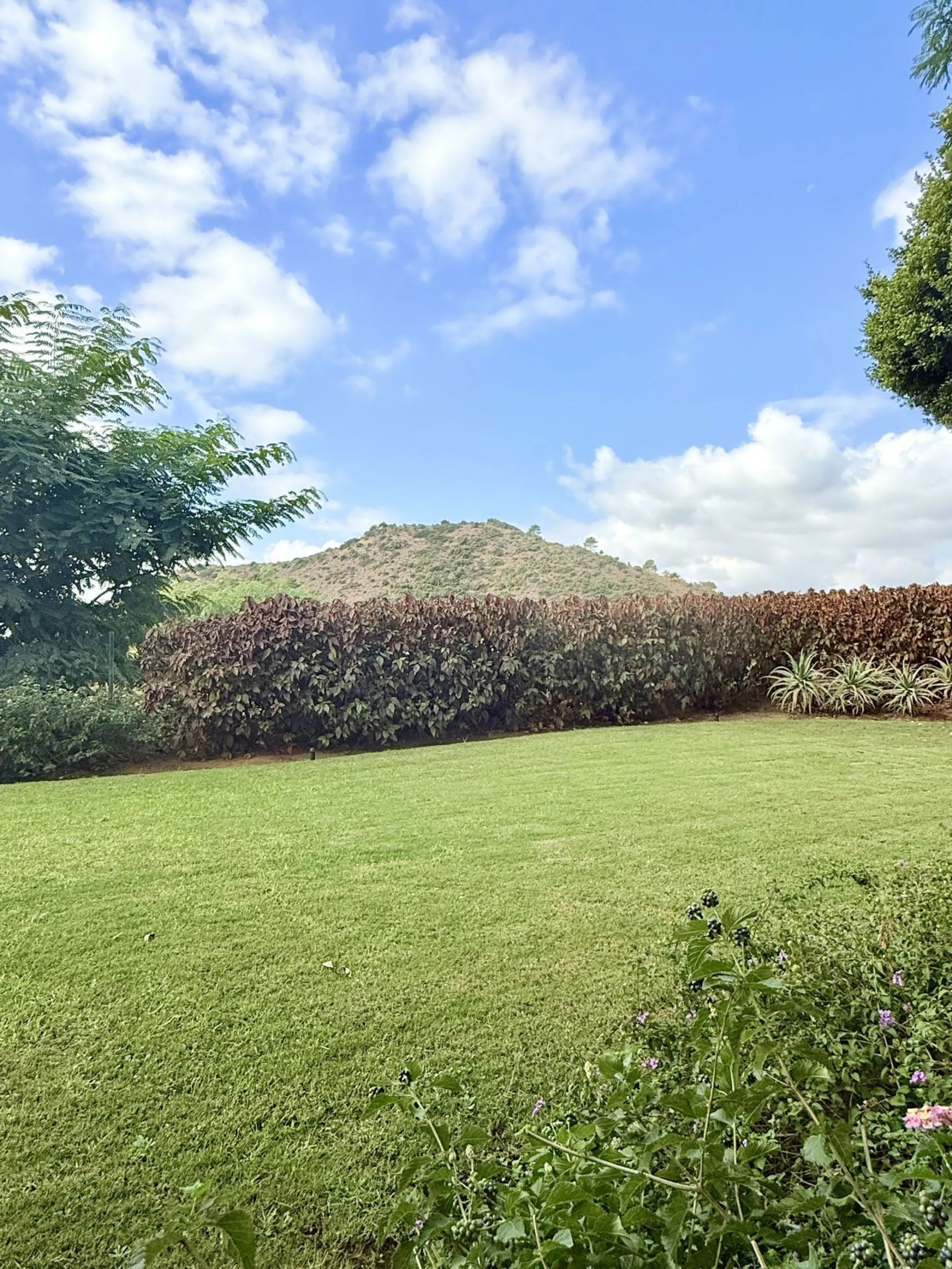 Ground Floor Corner Apartment | Los Arqueros Golf Resort, Benahavís