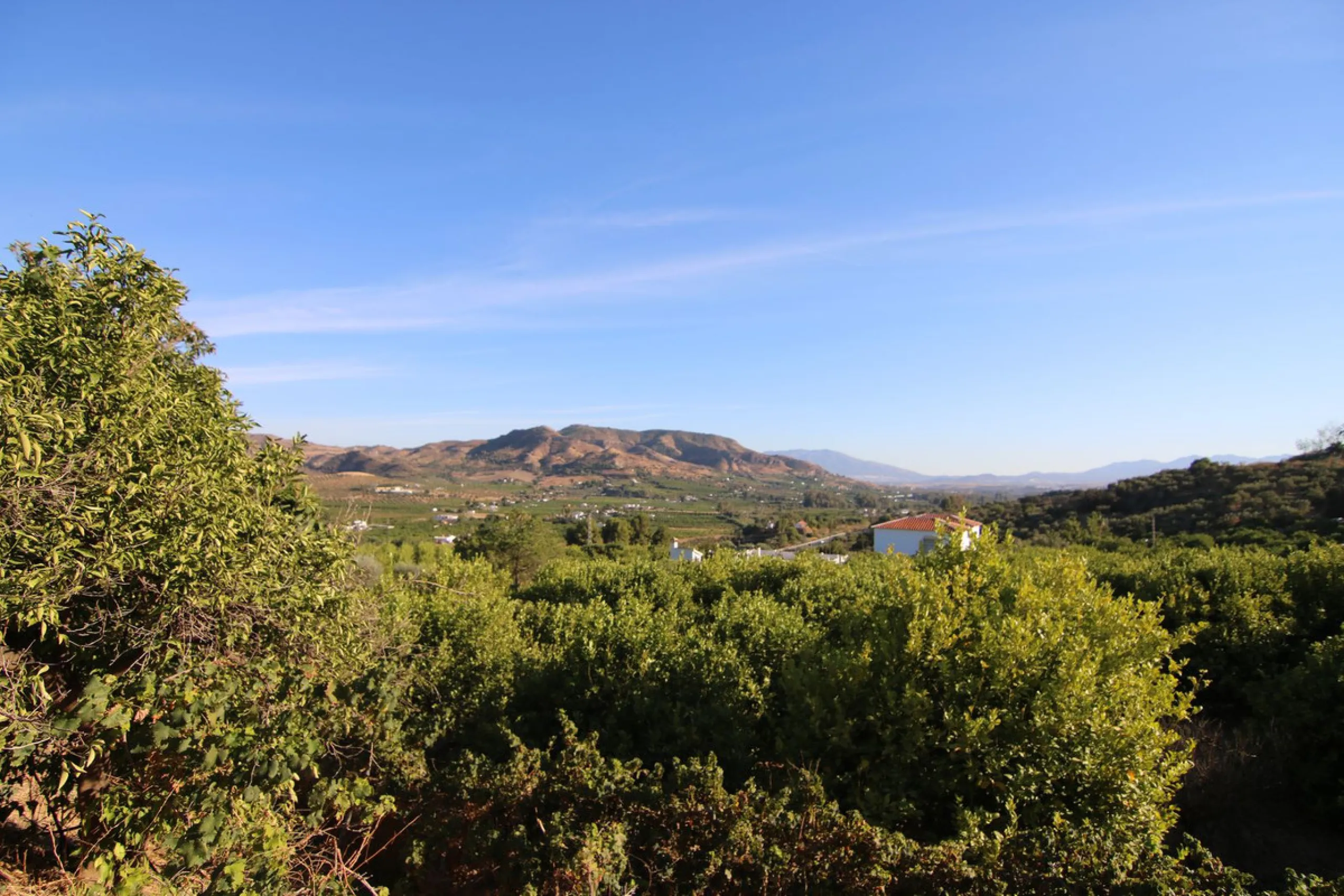 SPECTACULAR PLOT OF ALMOST 6000 METERS WITH HOUSE, STORAGE BUILDING, JUST A STONE'S THROW FROM MALAGA AND THE CAMINITO DEL REY...