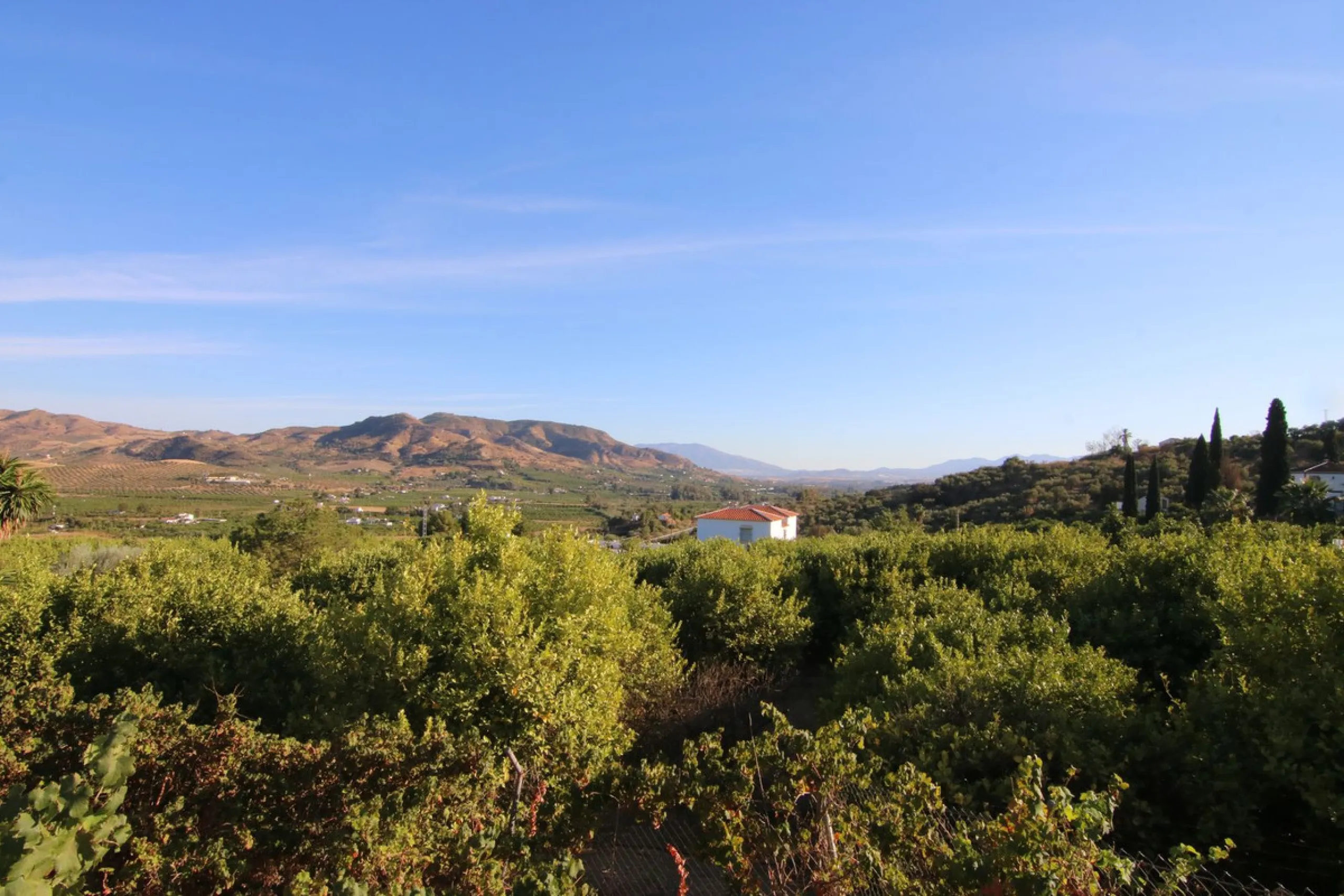 SPECTACULAR PLOT OF ALMOST 6000 METERS WITH HOUSE, STORAGE BUILDING, JUST A STONE'S THROW FROM MALAGA AND THE CAMINITO DEL REY...