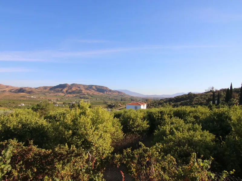 SPECTACULAR PLOT OF ALMOST 6000 METERS WITH HOUSE, STORAGE BUILDING, JUST A STONE'S THROW FROM MALAGA AND THE CAMINITO DEL REY...
