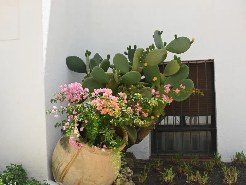 Apartment - Ground Floor Apartment в продаже в Marbella, Málaga. В доме 2 спален и 2 ванных комнат. Площадь дома 96 м²