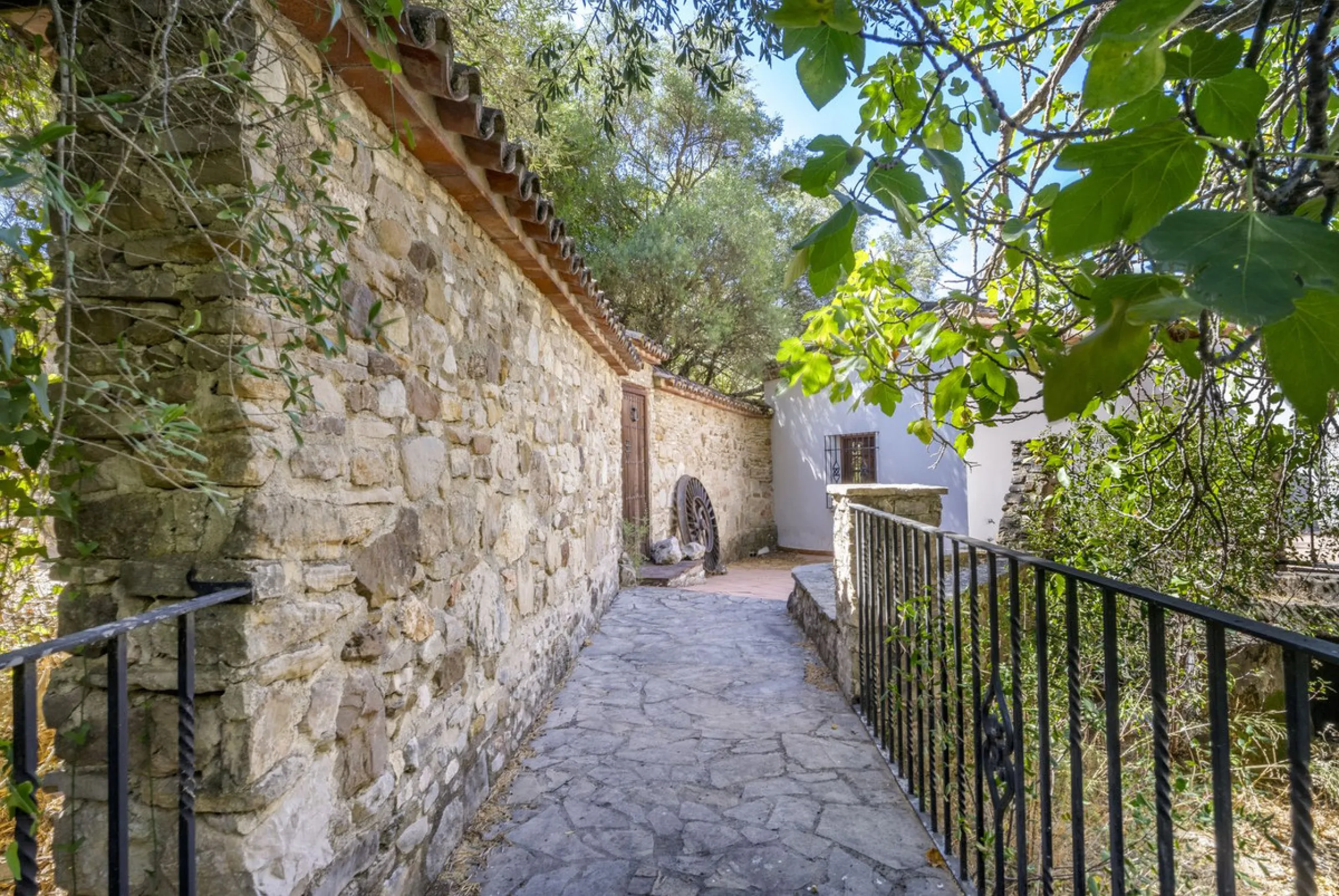 Make your dream a reality: Mill-Hotel in the Serranía de Ronda awaits its next chapter.