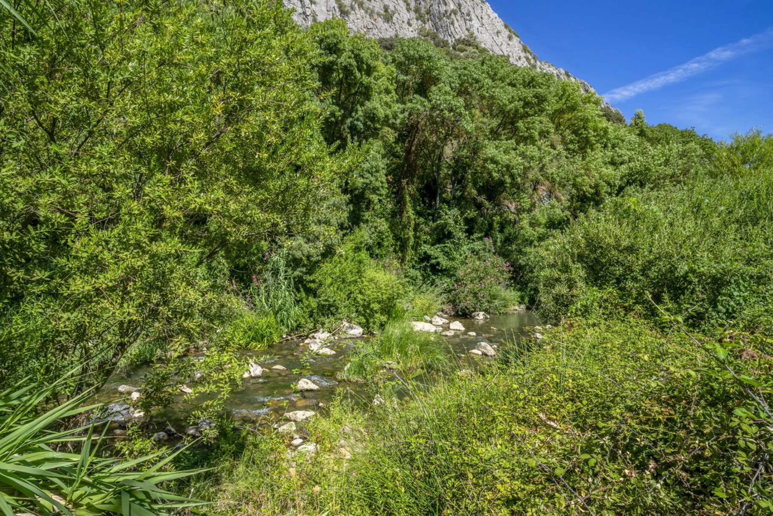 Make your dream a reality: Mill-Hotel in the Serranía de Ronda awaits its next chapter.