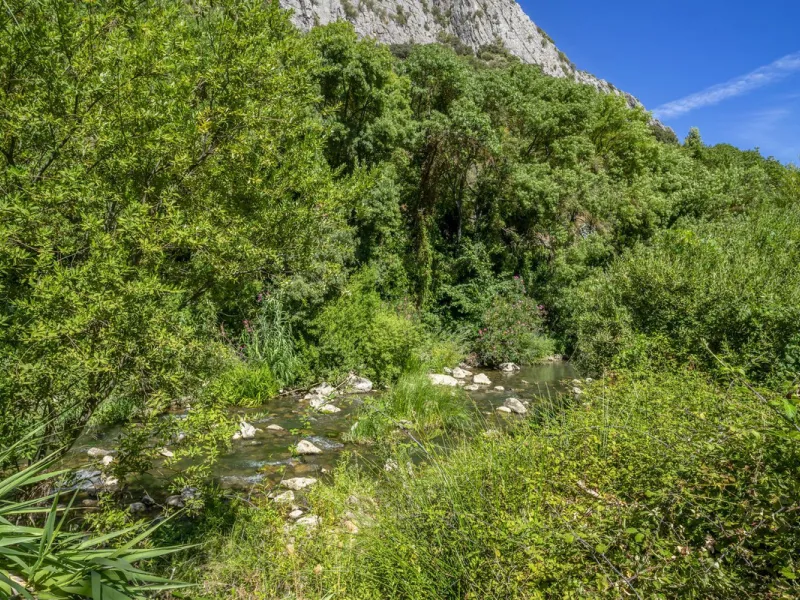 Make your dream a reality: Mill-Hotel in the Serranía de Ronda awaits its next chapter.