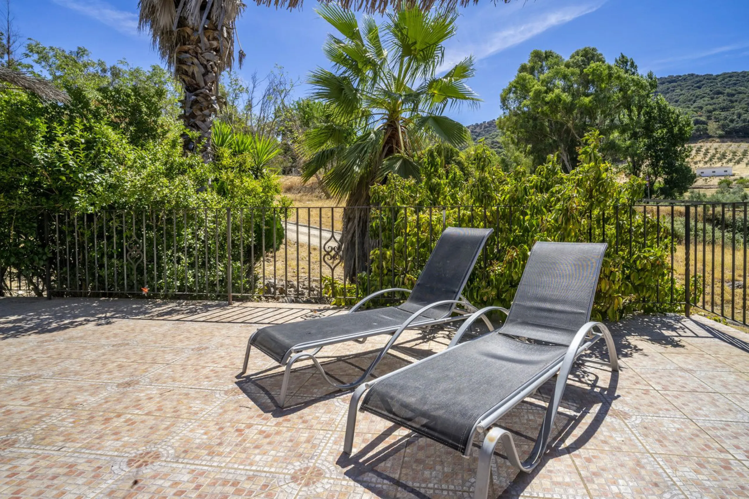 Make your dream a reality: Mill-Hotel in the Serranía de Ronda awaits its next chapter.