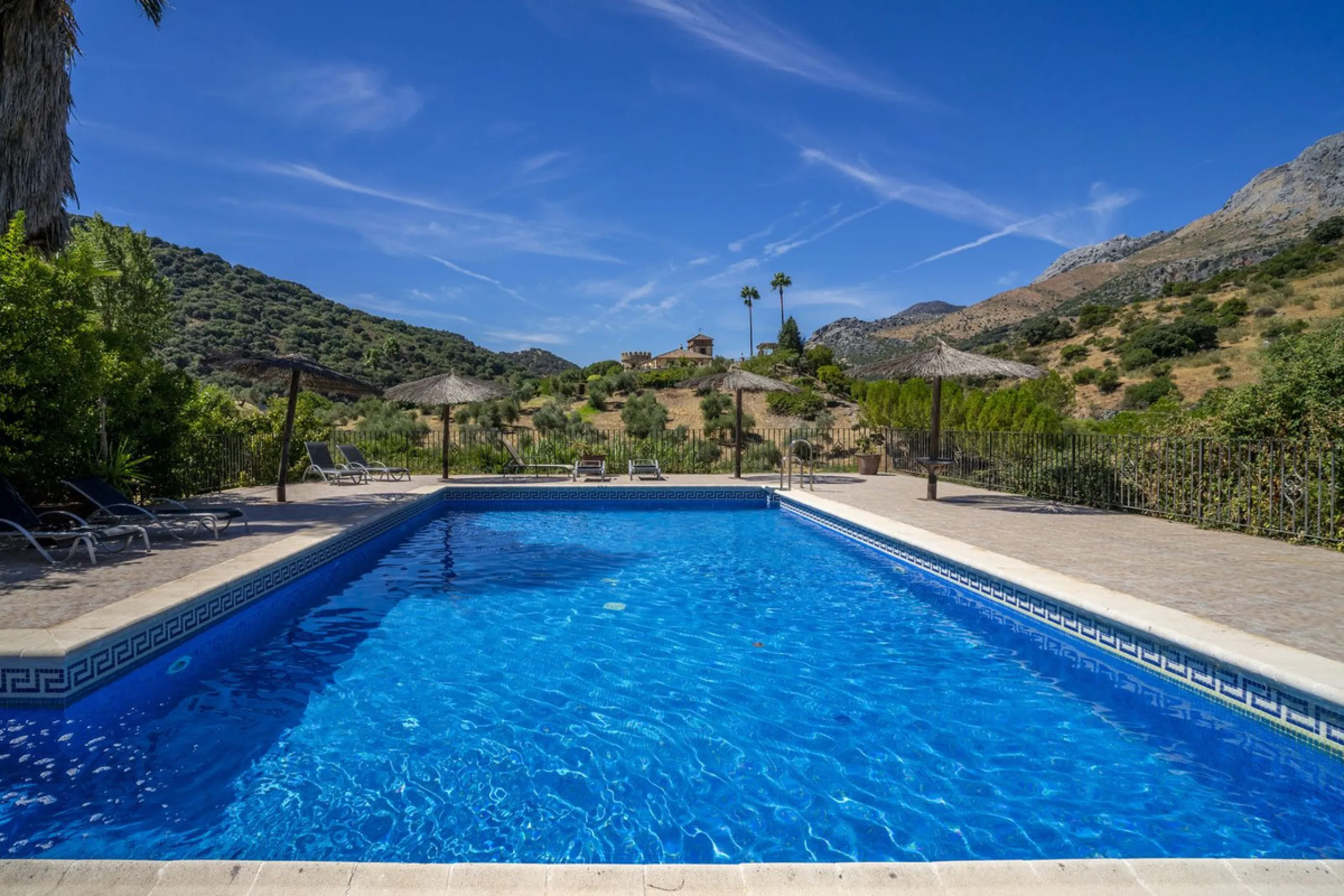 Make your dream a reality: Mill-Hotel in the Serranía de Ronda awaits its next chapter.