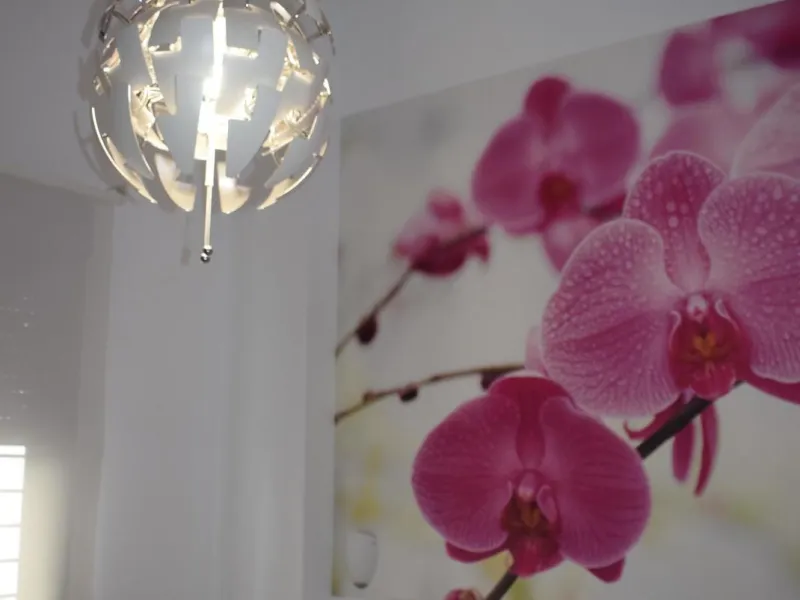 With turistic licence ! Ground Floor Apartment, Málaga historic Centre, Costa del Sol.