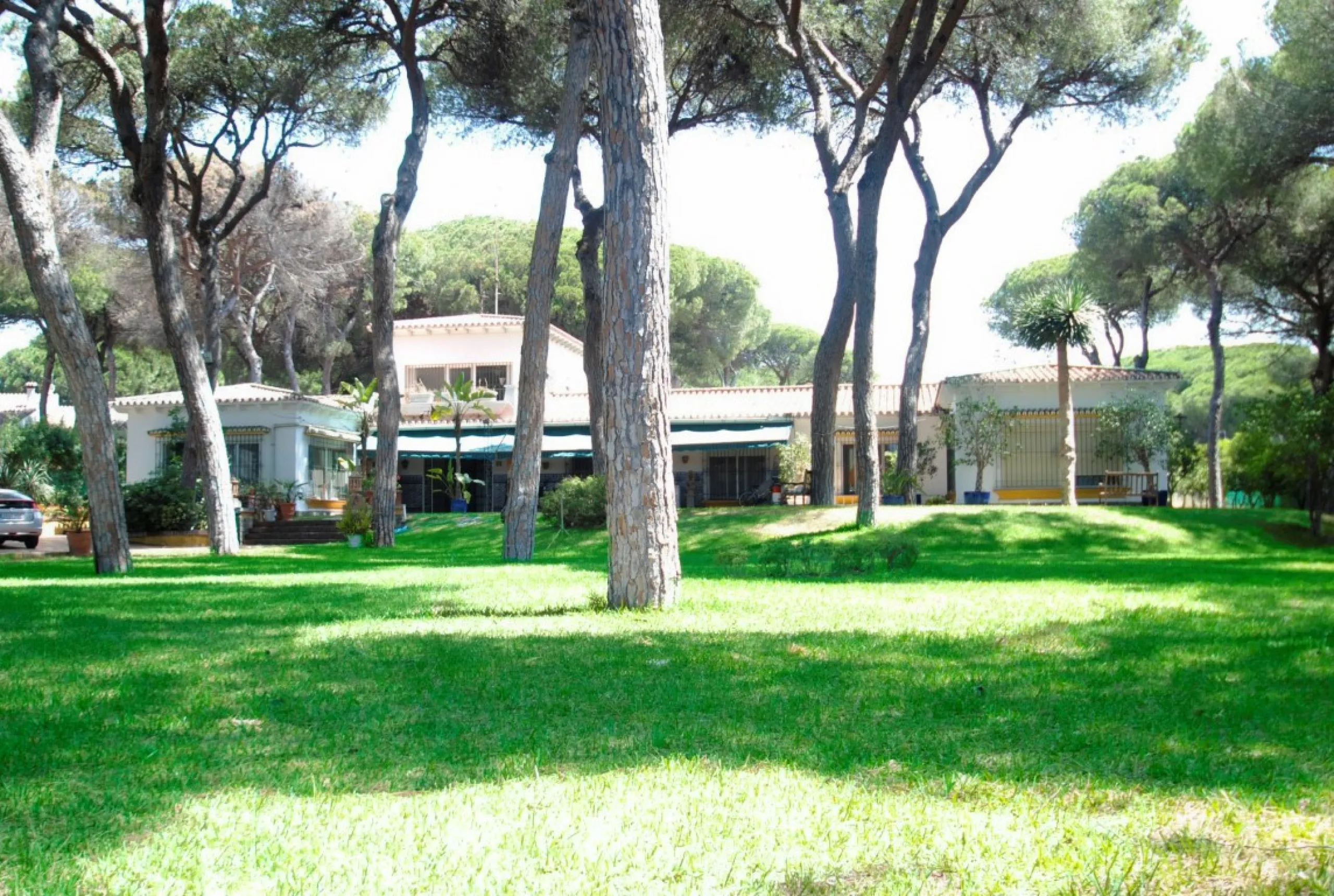 Experience pure Andalusian lifestyle and investment potential in this magnificent villa!