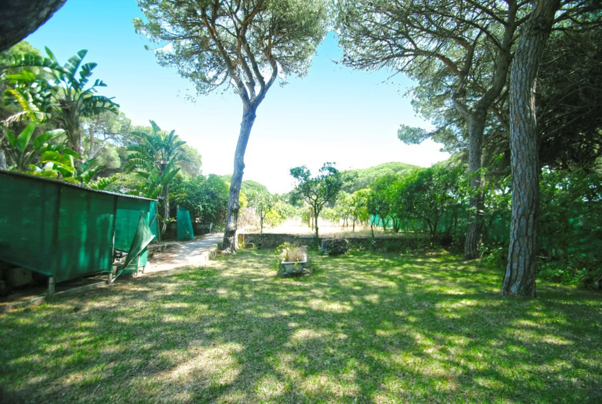 Experience pure Andalusian lifestyle and investment potential in this magnificent villa!
