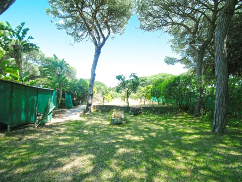 Experience pure Andalusian lifestyle and investment potential in this magnificent villa!