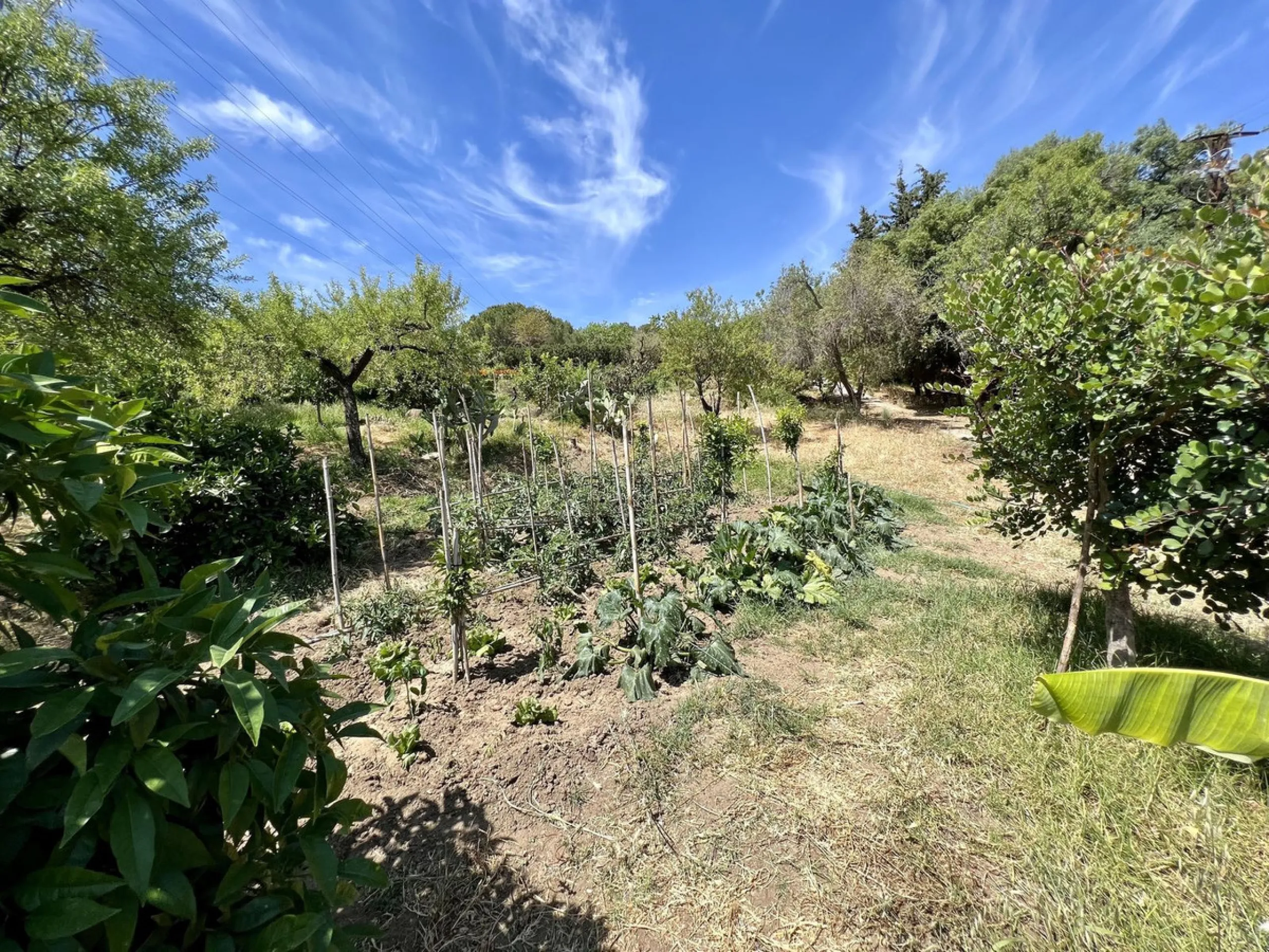 Charming Country Estate for Sale in El Velerín, Estepona