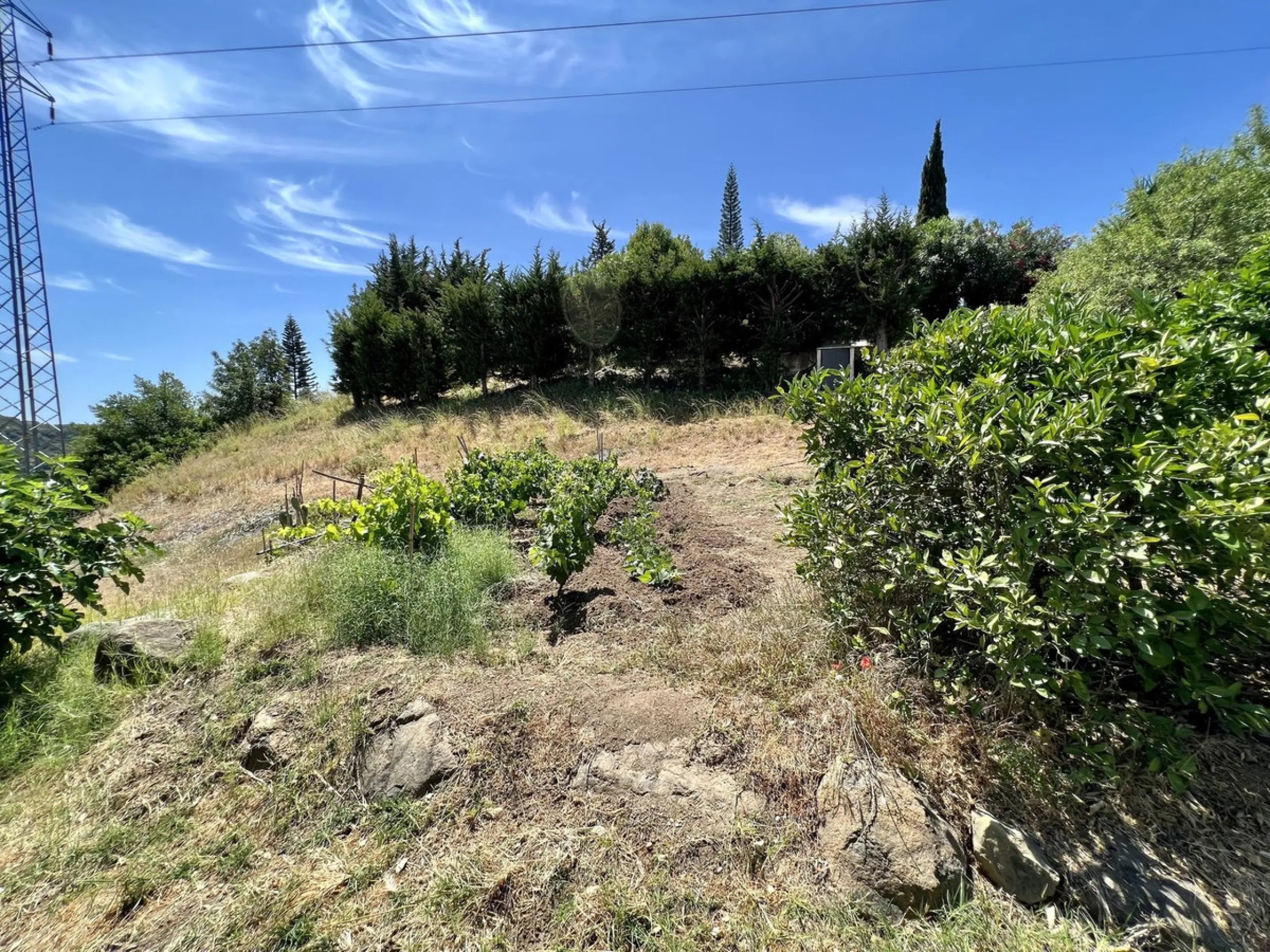 Charming Country Estate for Sale in El Velerín, Estepona