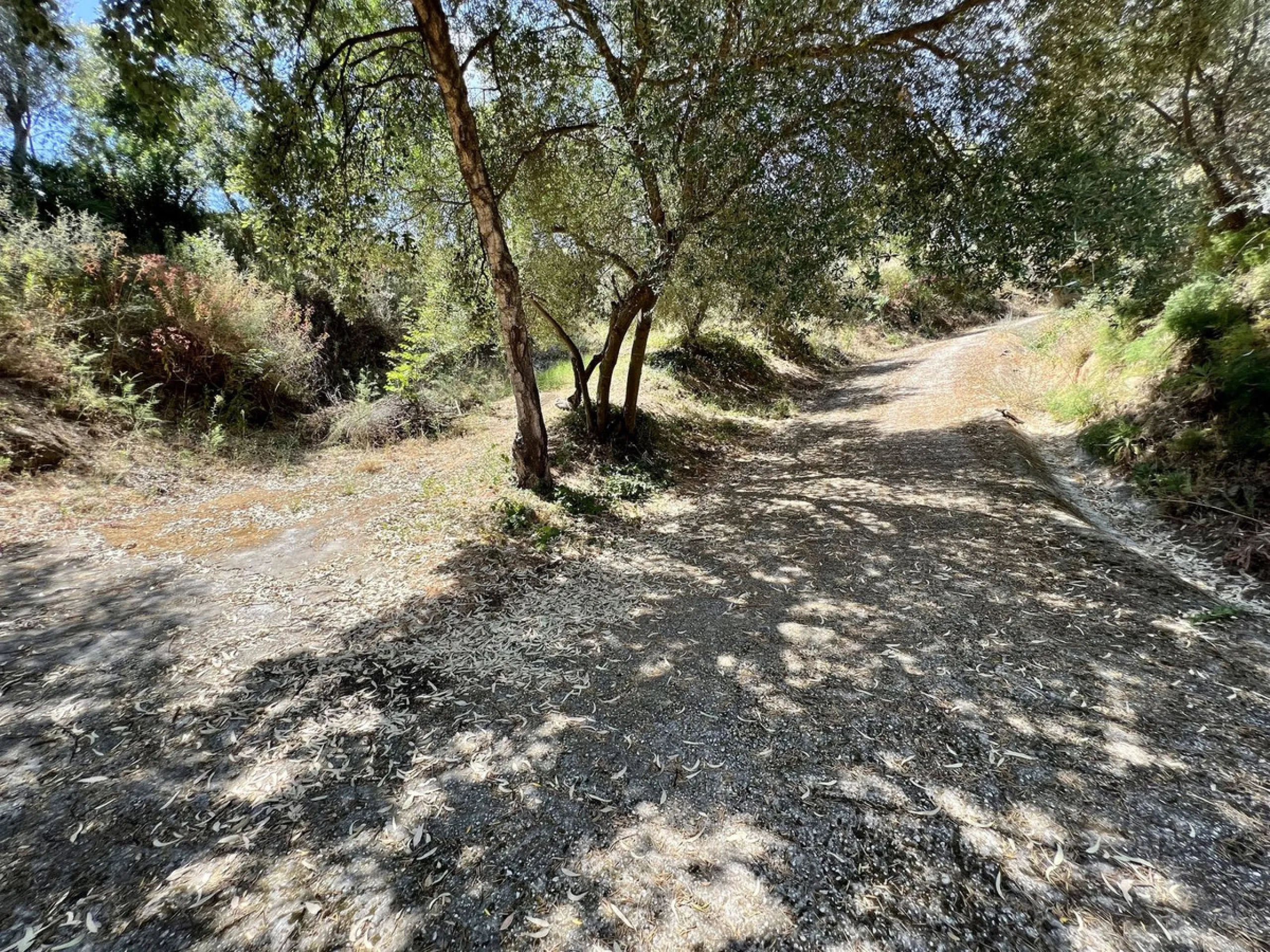 Charming Country Estate for Sale in El Velerín, Estepona