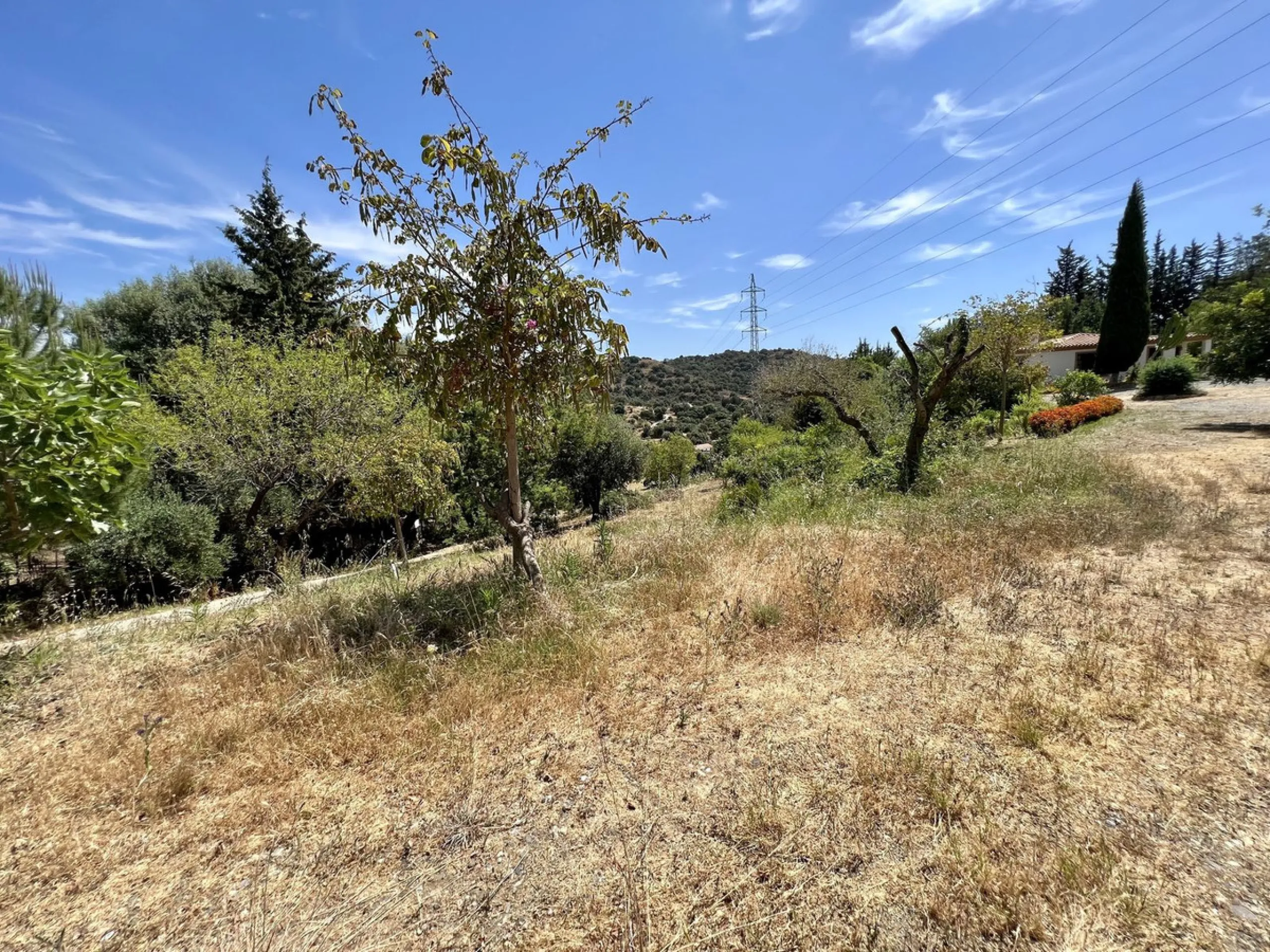 Charming Country Estate for Sale in El Velerín, Estepona