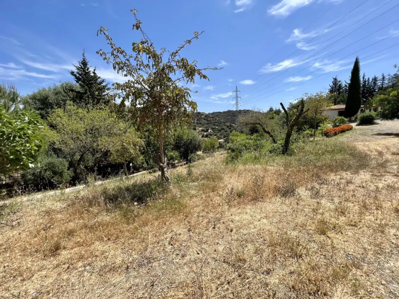 Charming Country Estate for Sale in El Velerín, Estepona