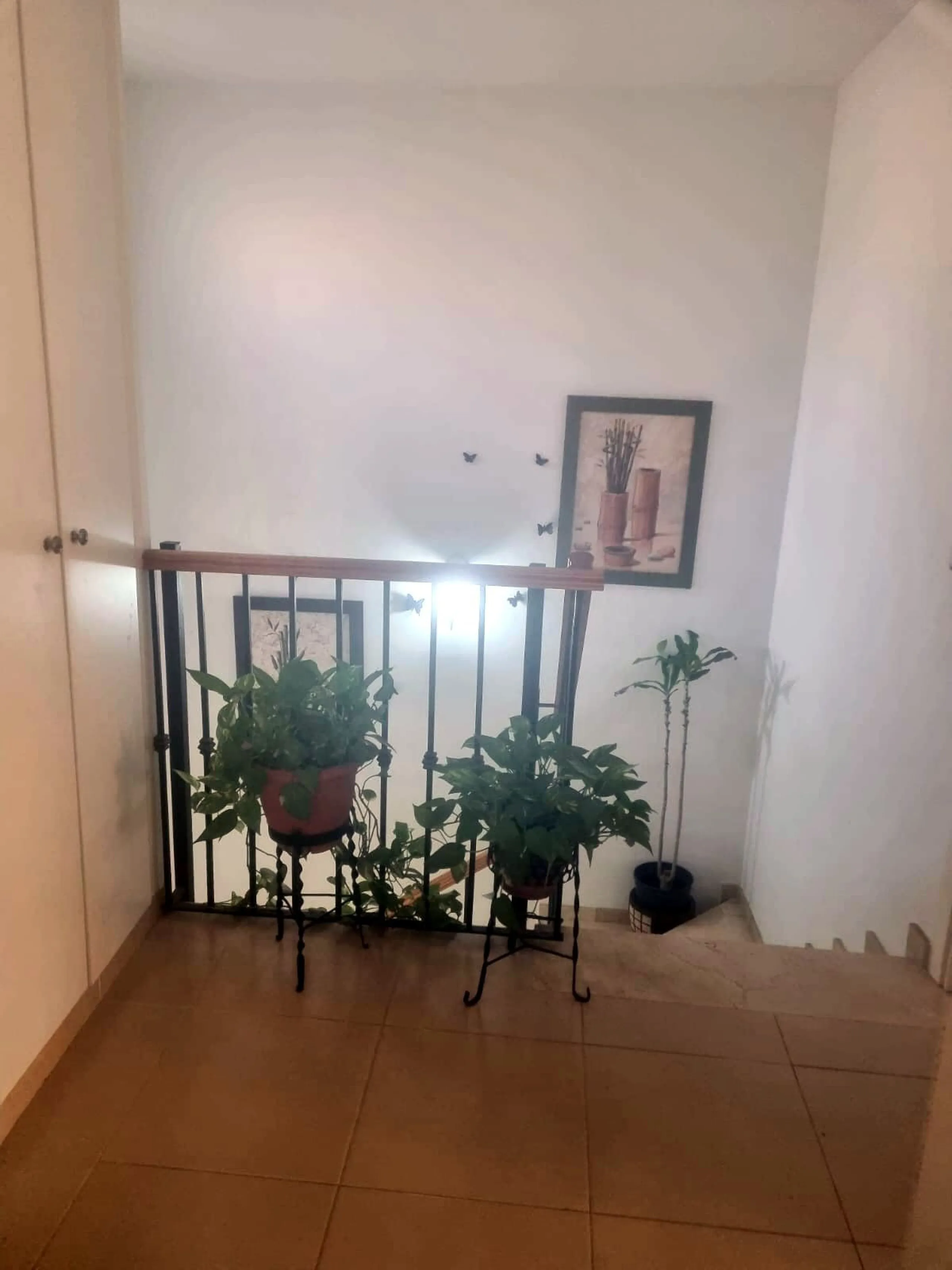 House - Semi-Detached House в продаже в Málaga, Málaga. В доме 3 спален и 3 ванных комнат. Площадь дома 149 м². Площадь участка 225 м²