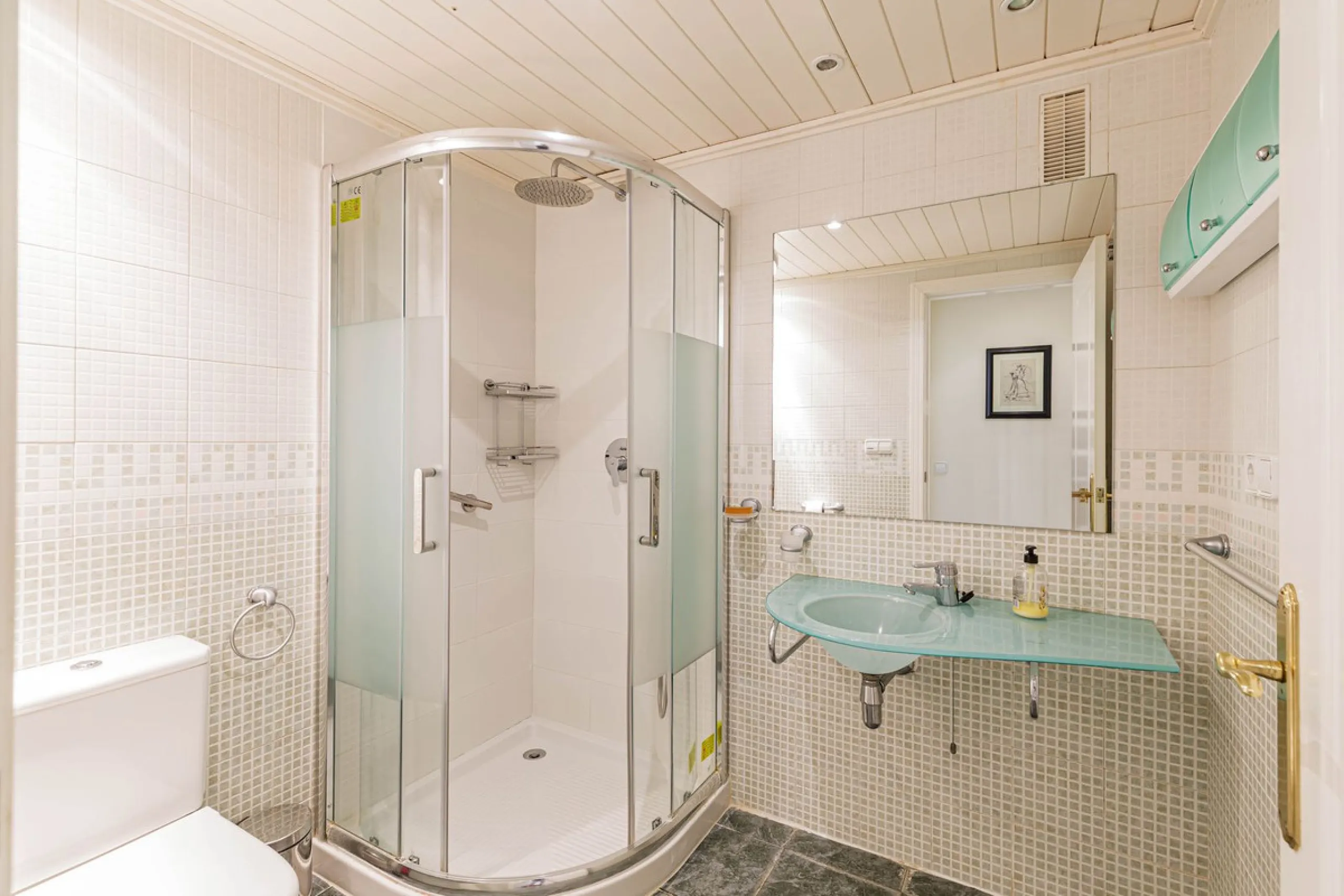 NEW LISTING penthouse with roof terrace !