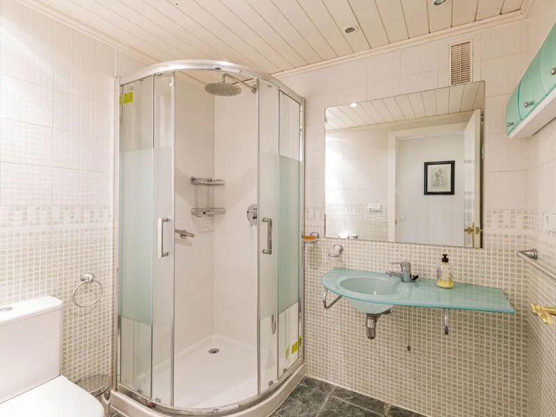 NEW LISTING penthouse with roof terrace !