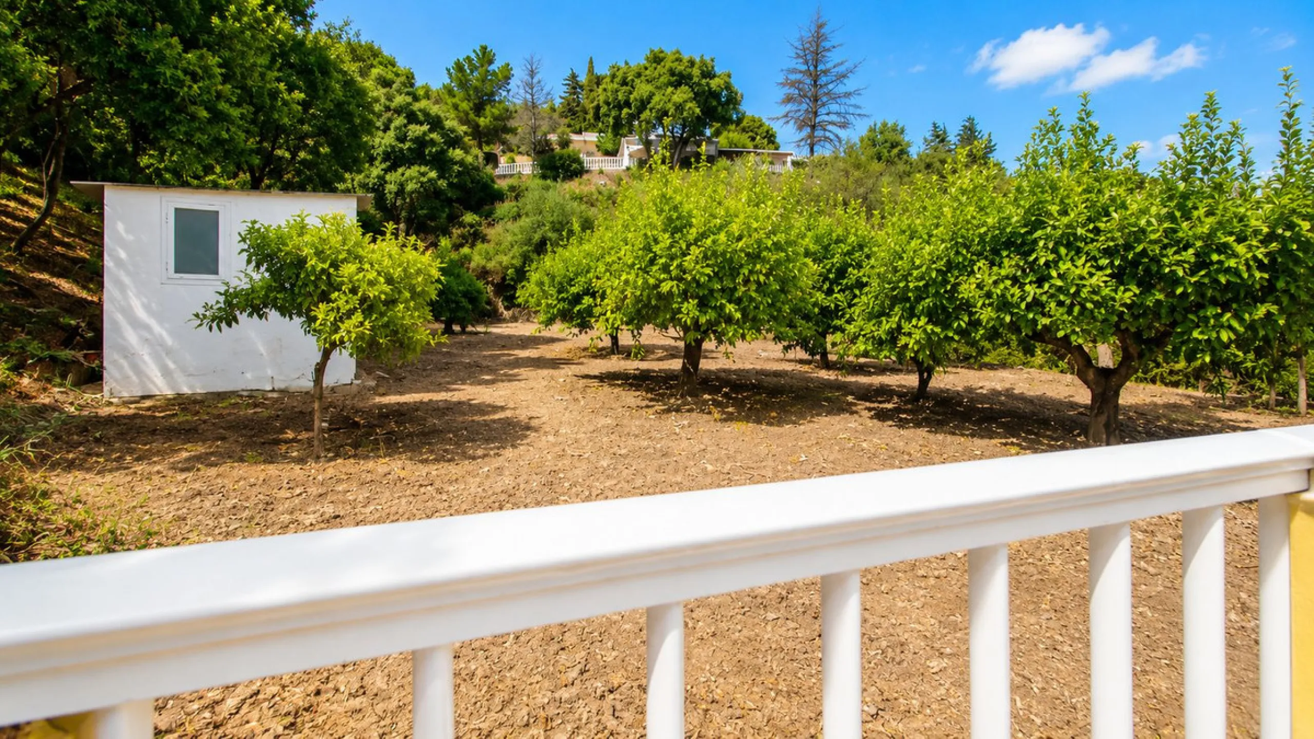 Charming country property with pool and garden for sale in Estepona – just 10 minutes from the beach