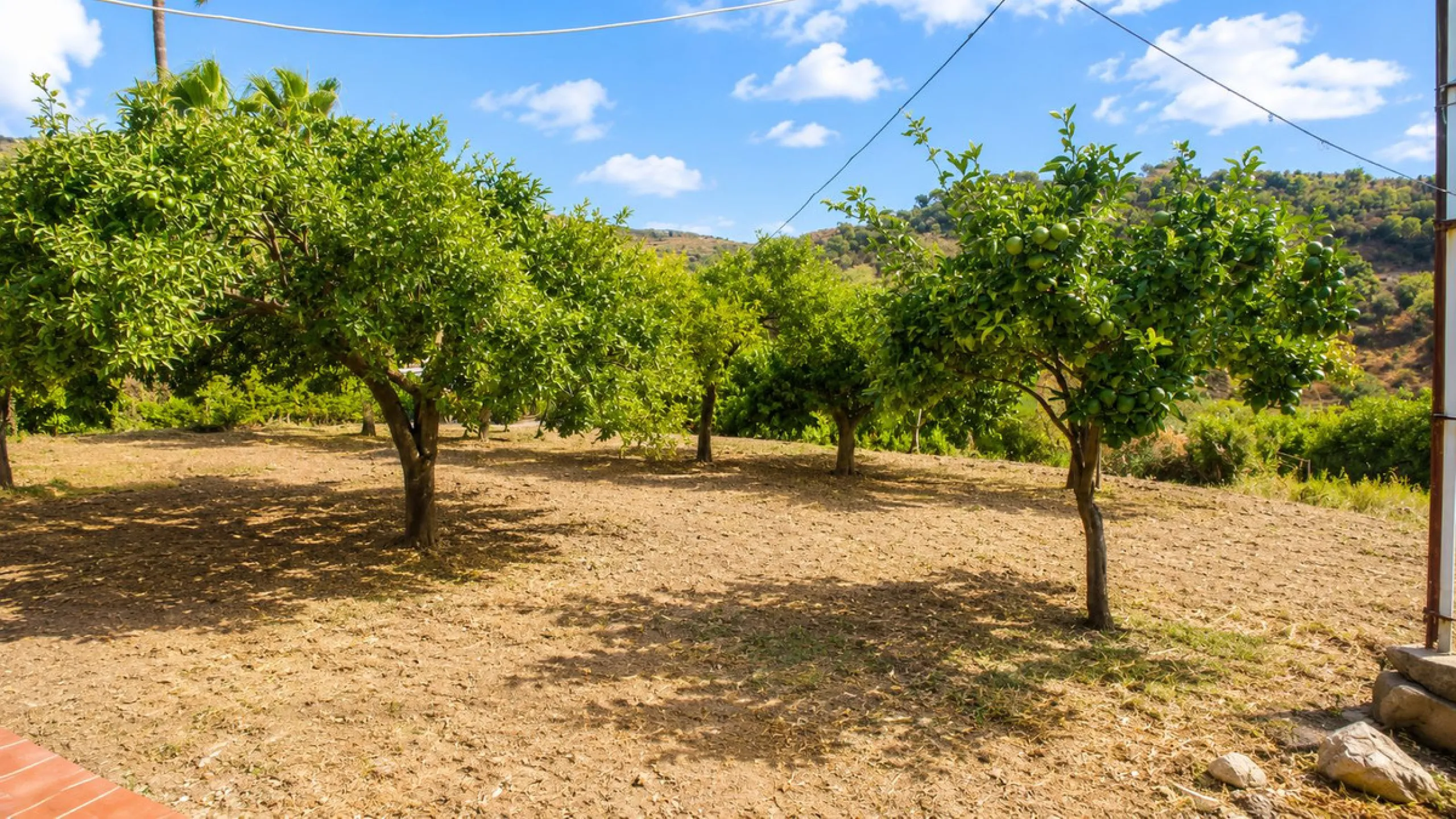 Charming country property with pool and garden for sale in Estepona – just 10 minutes from the beach