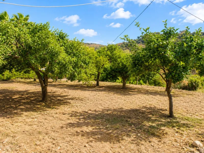 Charming country property with pool and garden for sale in Estepona – just 10 minutes from the beach
