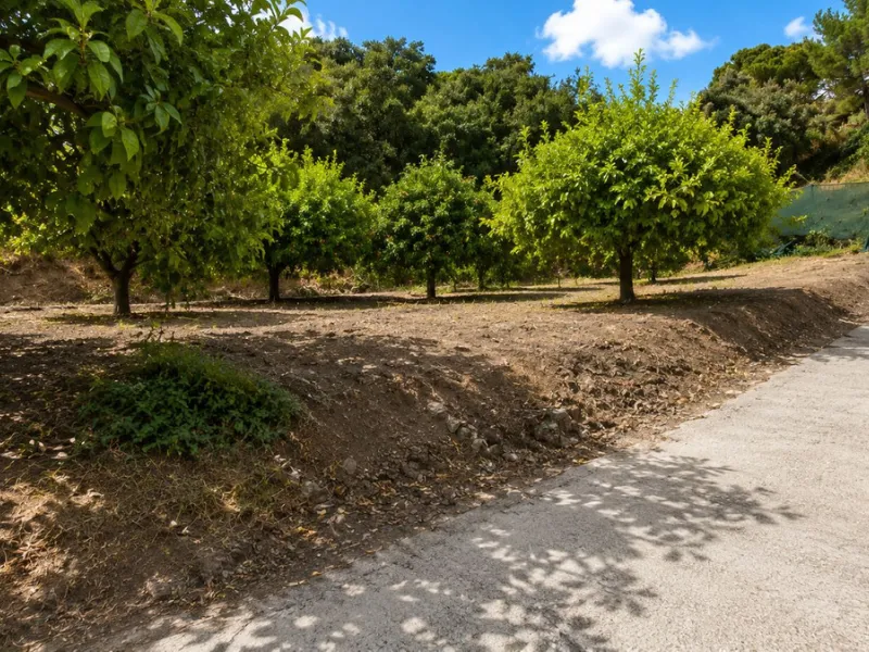 Charming country property with pool and garden for sale in Estepona – just 10 minutes from the beach
