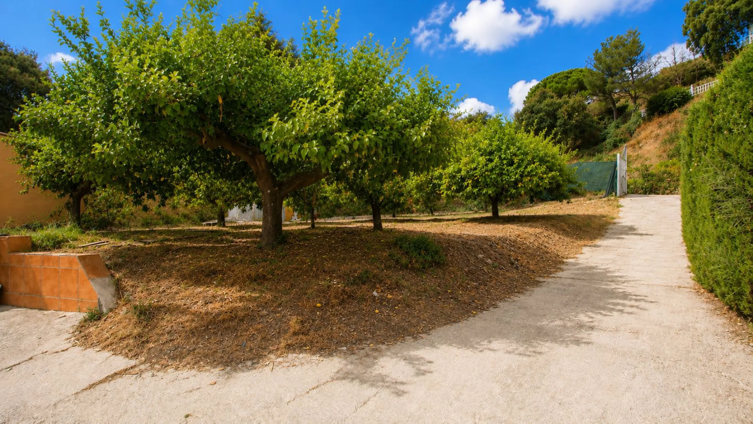 Charming country property with pool and garden for sale in Estepona – just 10 minutes from the beach