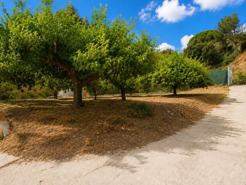 Charming country property with pool and garden for sale in Estepona – just 10 minutes from the beach