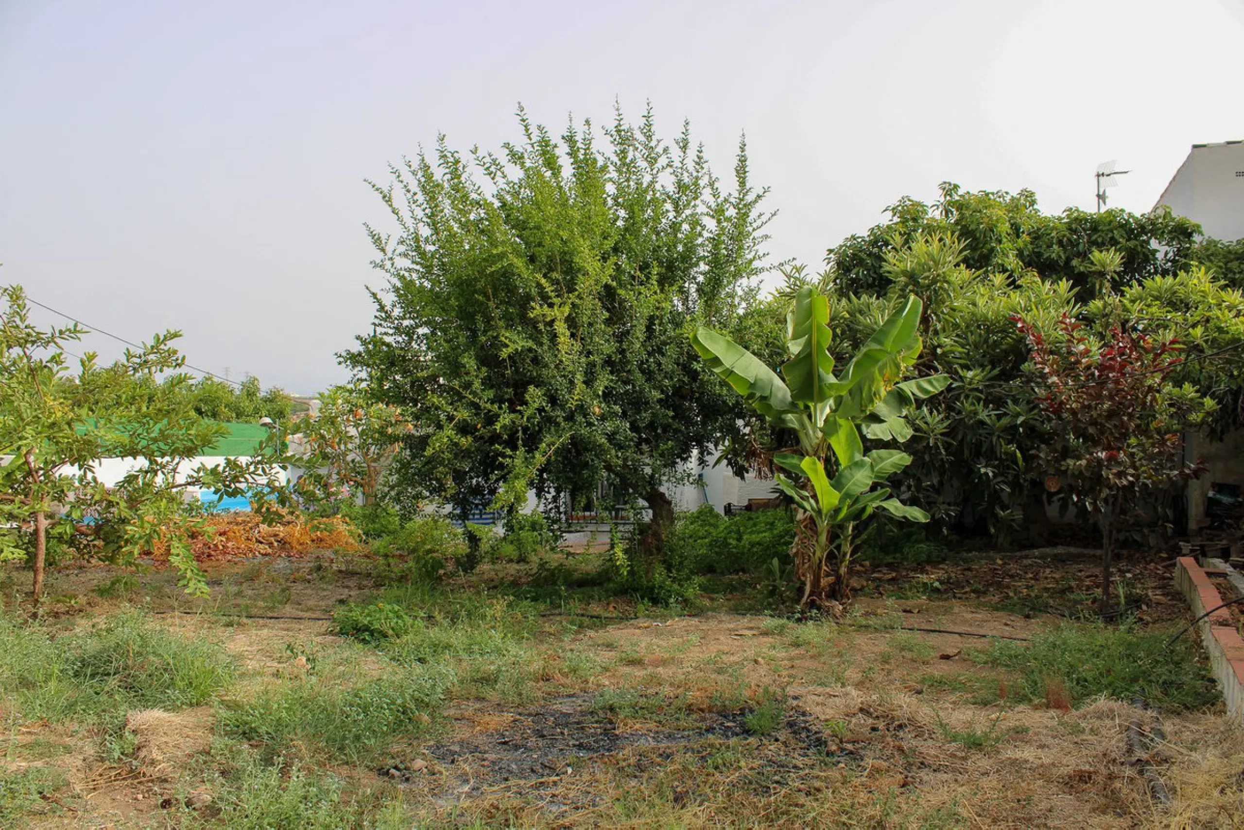 Villa with garden, private pool and three large terraces with sea views.
