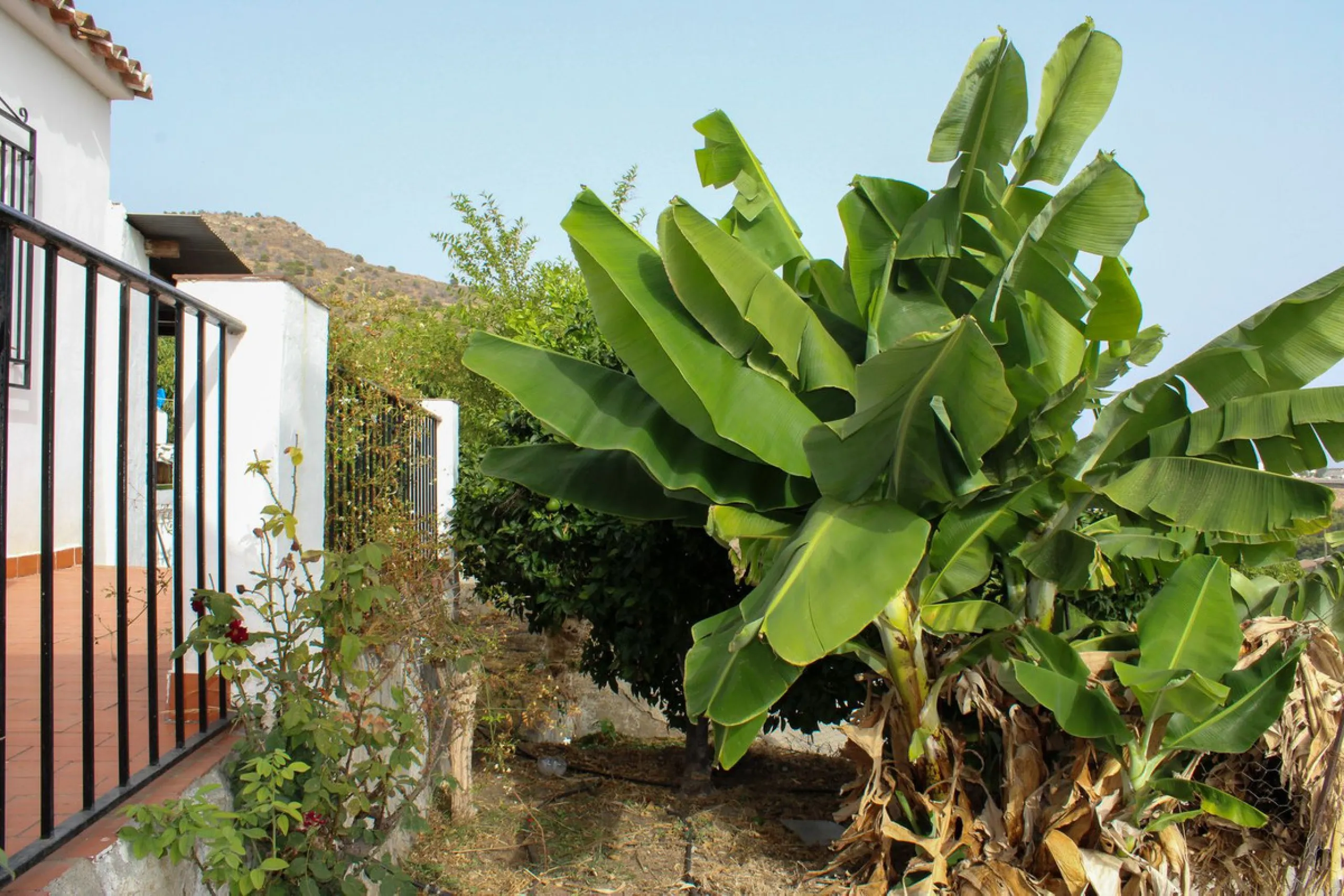 Villa with garden, private pool and three large terraces with sea views.