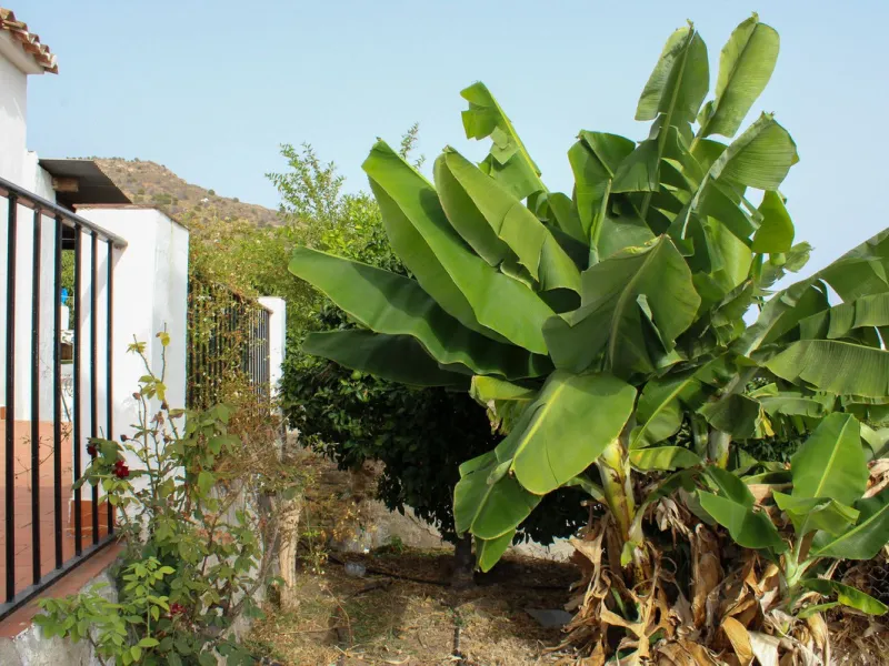 Villa with garden, private pool and three large terraces with sea views.