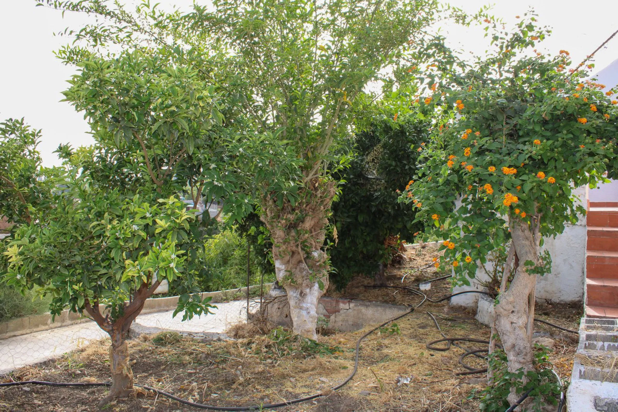 Villa with garden, private pool and three large terraces with sea views.