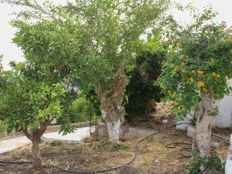 Villa with garden, private pool and three large terraces with sea views.