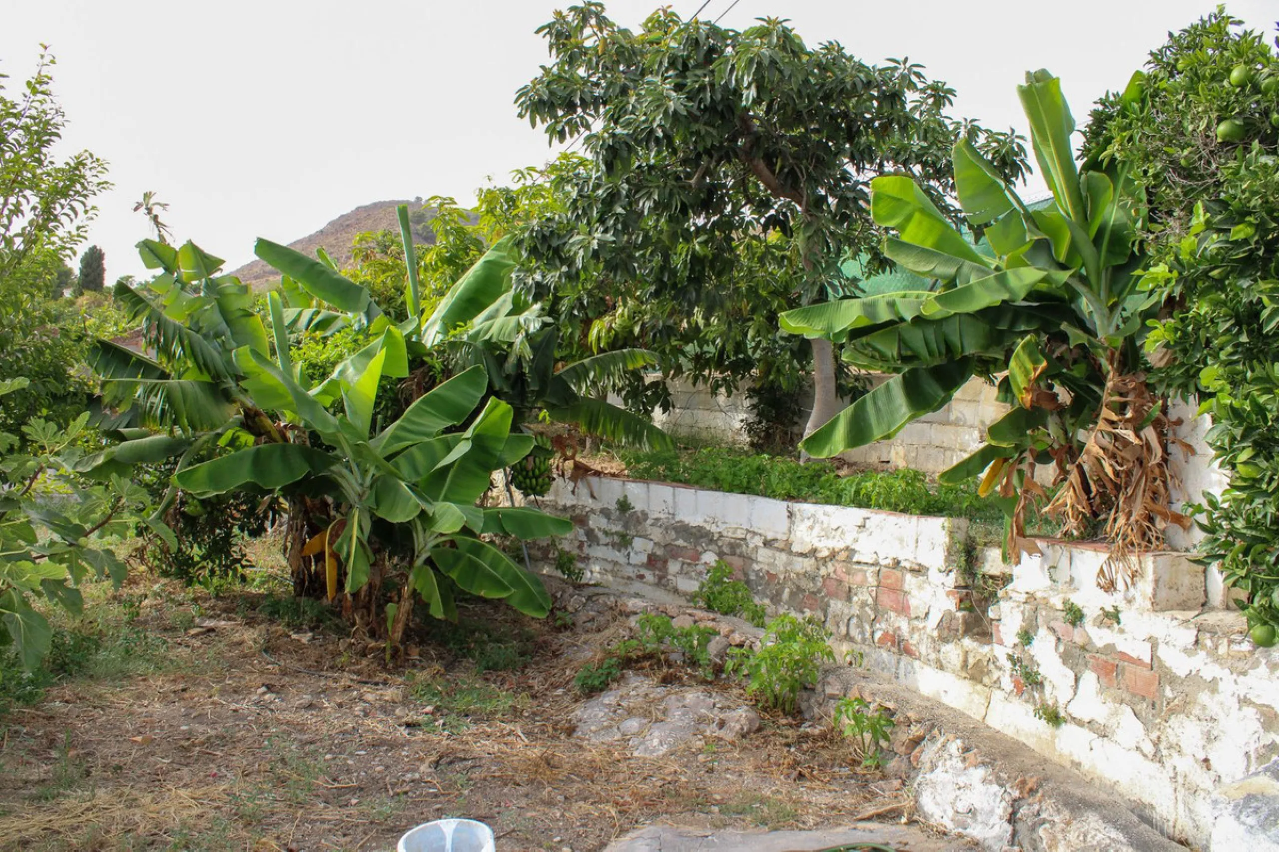 Villa with garden, private pool and three large terraces with sea views.