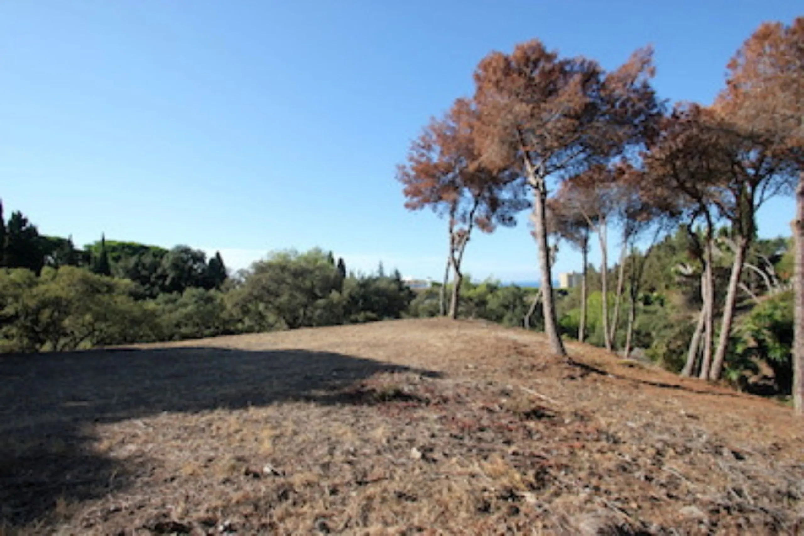 Plot - Residential Plot в продаже в Marbella, Málaga. Площадь участка 4100 м²