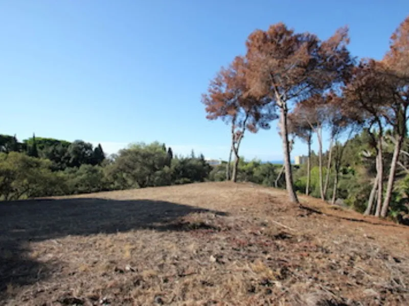 Plot - Residential Plot в продаже в Marbella, Málaga. Площадь участка 4100 м²