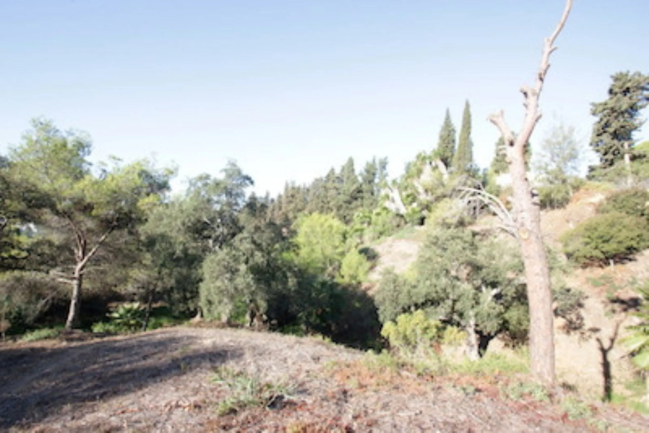 Plot - Residential Plot в продаже в Marbella, Málaga. Площадь участка 4100 м²