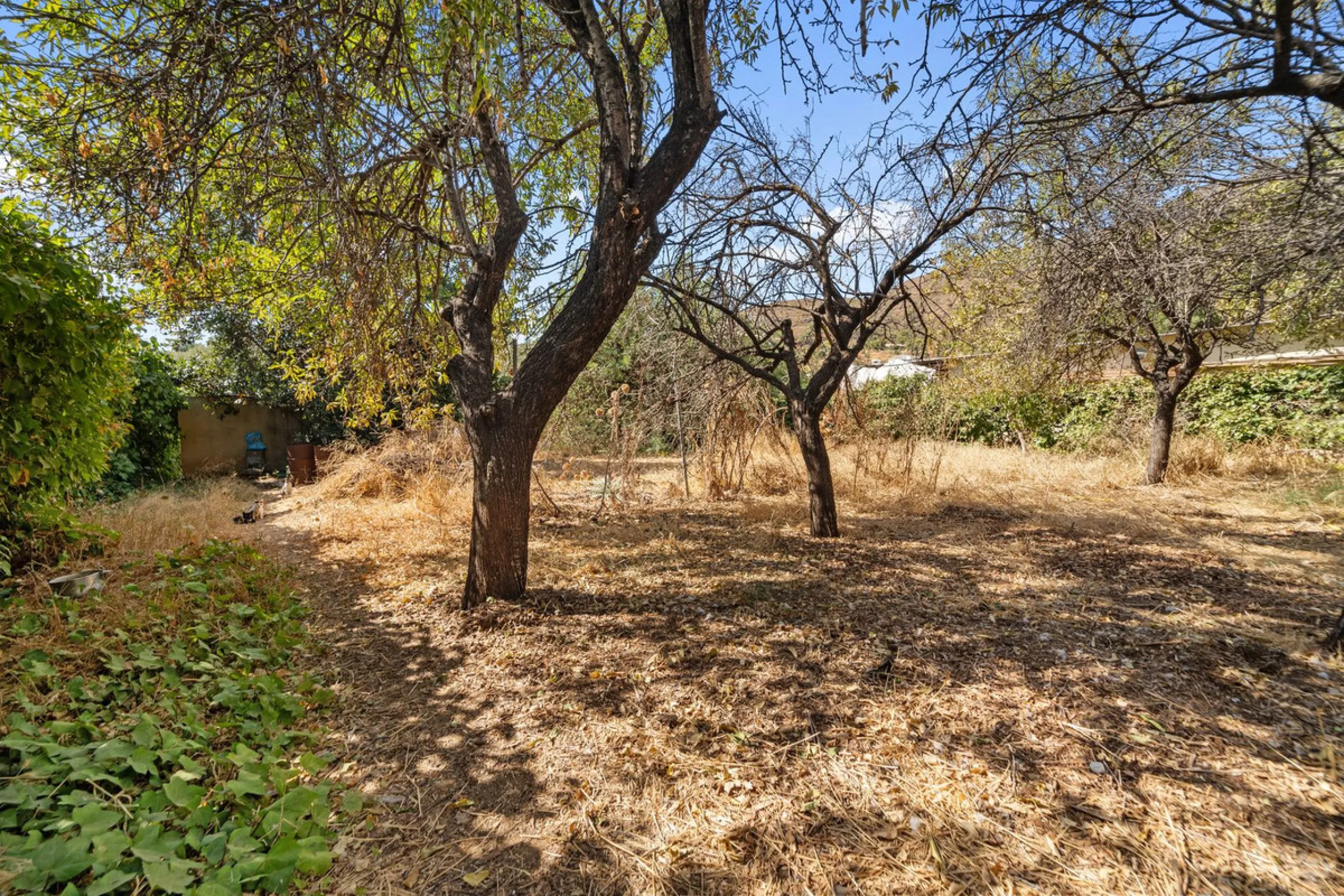 Charming Renovated Rustic House with 3 Bedrooms in Entrerríos – Nature and Convenience!