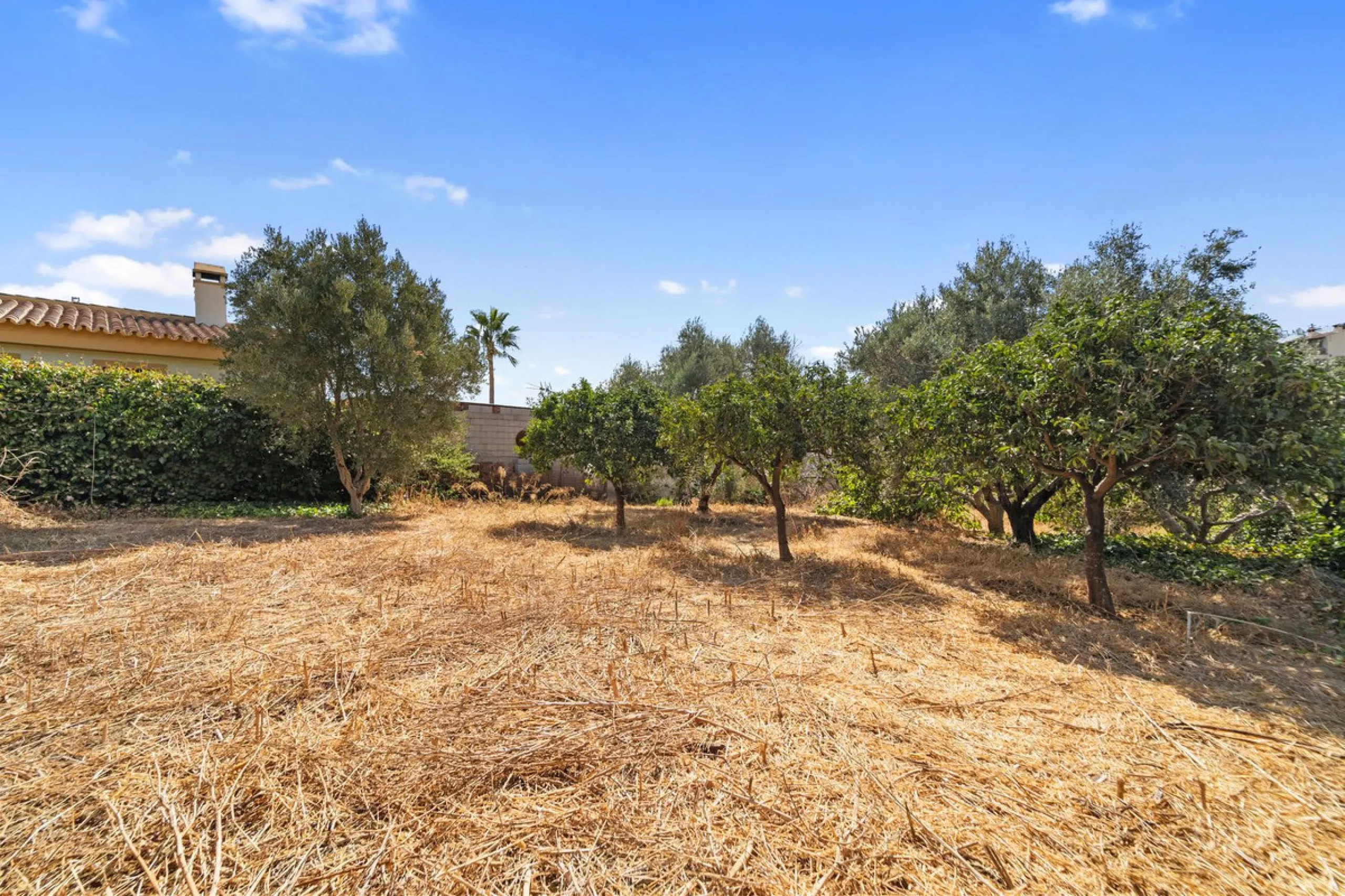 Charming Renovated Rustic House with 3 Bedrooms in Entrerríos – Nature and Convenience!