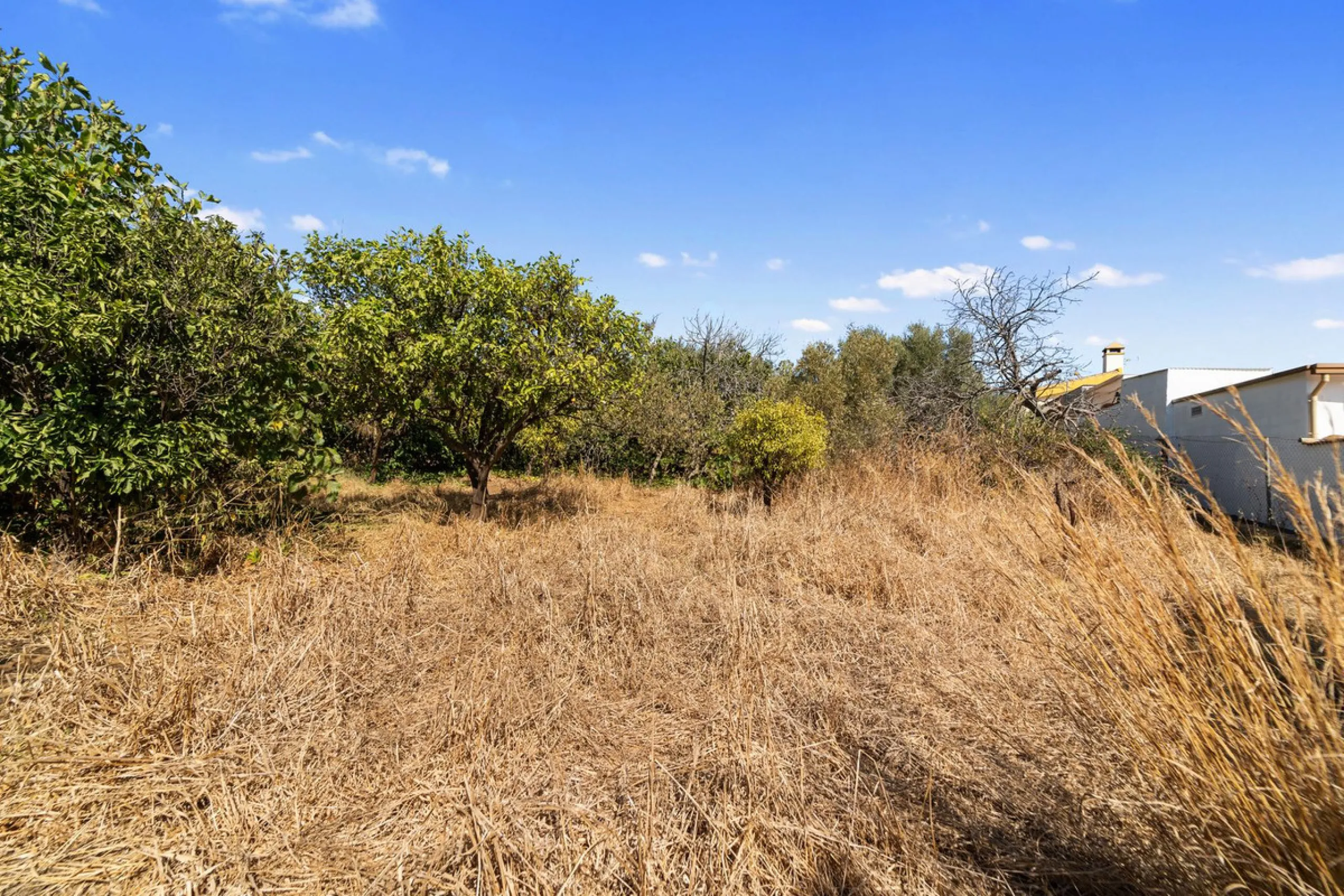 Charming Renovated Rustic House with 3 Bedrooms in Entrerríos – Nature and Convenience!