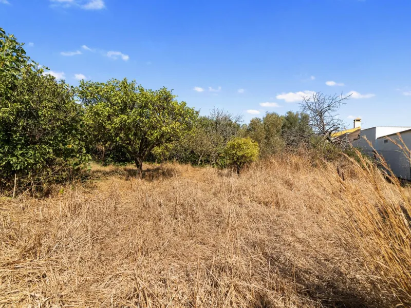 Charming Renovated Rustic House with 3 Bedrooms in Entrerríos – Nature and Convenience!