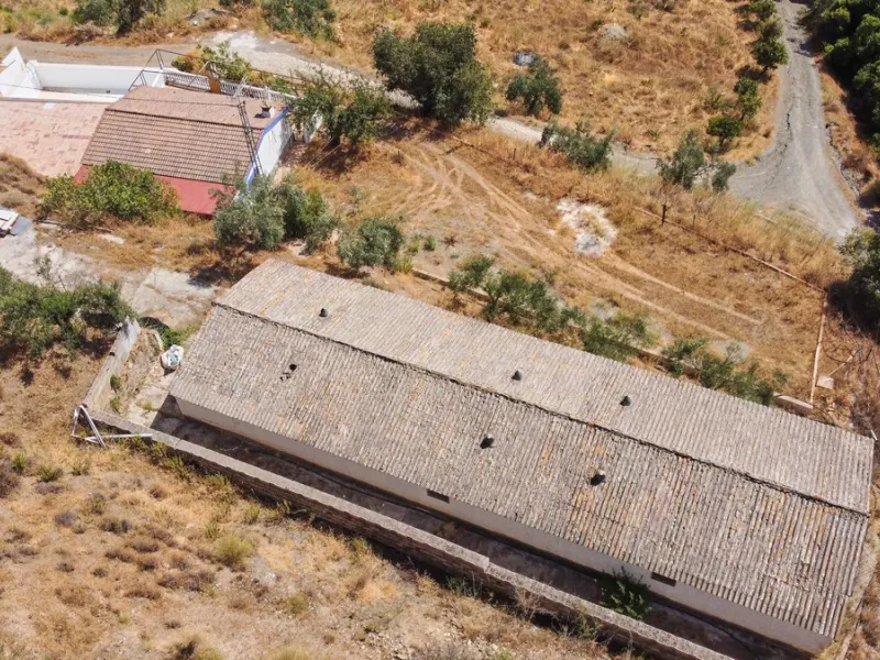 Rustic land of 63,500 m2 located in the municipality of Guaro. Partially occupied by approximately 300 olive trees, it is suitable for planting fruit trees such as almonds, aloe vera, citrus, etc.