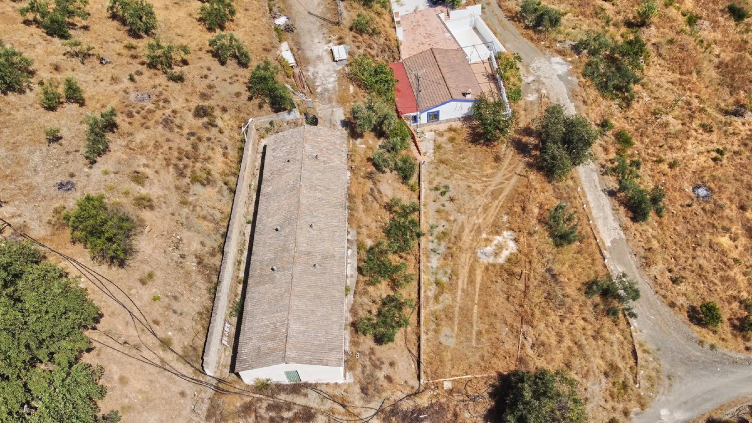 Rustic land of 63,500 m2 located in the municipality of Guaro. Partially occupied by approximately 300 olive trees, it is suitable for planting fruit trees such as almonds, aloe vera, citrus, etc.